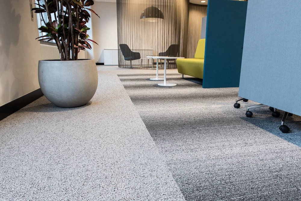 Closeup of cleaned carpets in an office